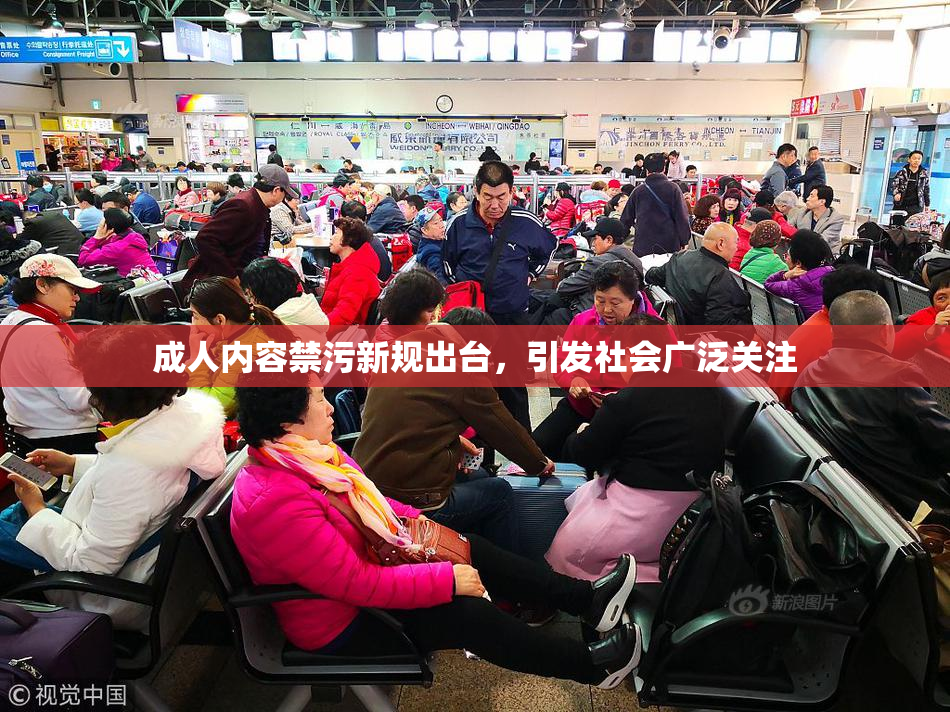 成人内容禁污新规出台，引发社会广泛关注
