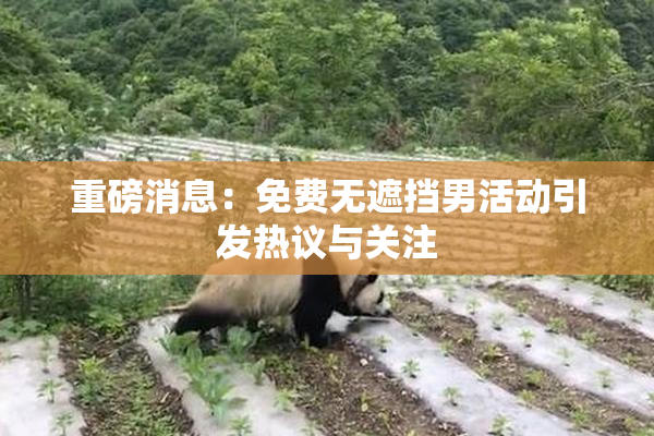 重磅消息：免费无遮挡男活动引发热议与关注
