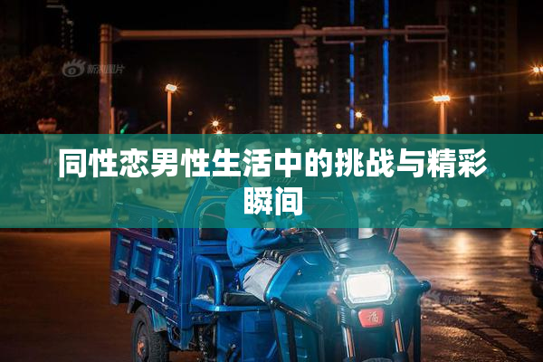 同性恋男性生活中的挑战与精彩瞬间