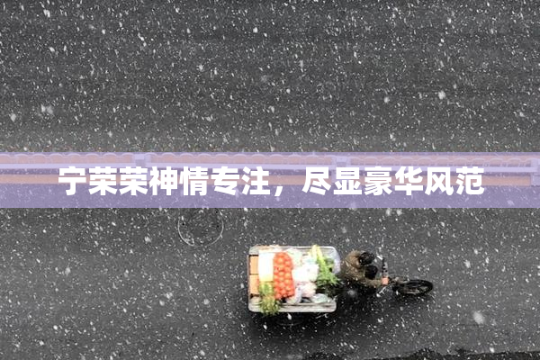 宁荣荣神情专注，尽显豪华风范