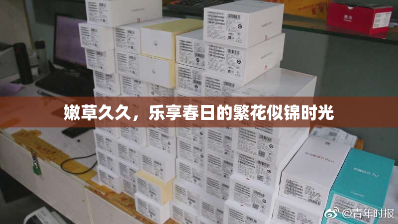 嫩草久久，乐享春日的繁花似锦时光