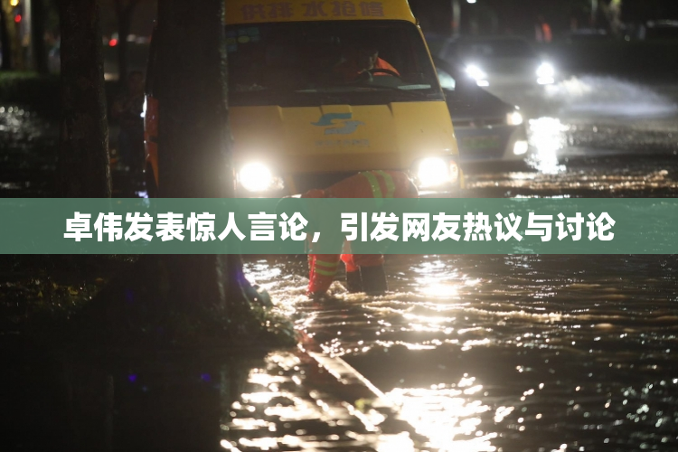 卓伟发表惊人言论，引发网友热议与讨论