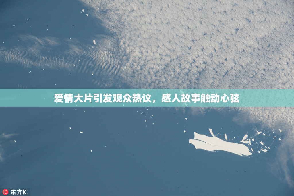 爱情大片引发观众热议，感人故事触动心弦