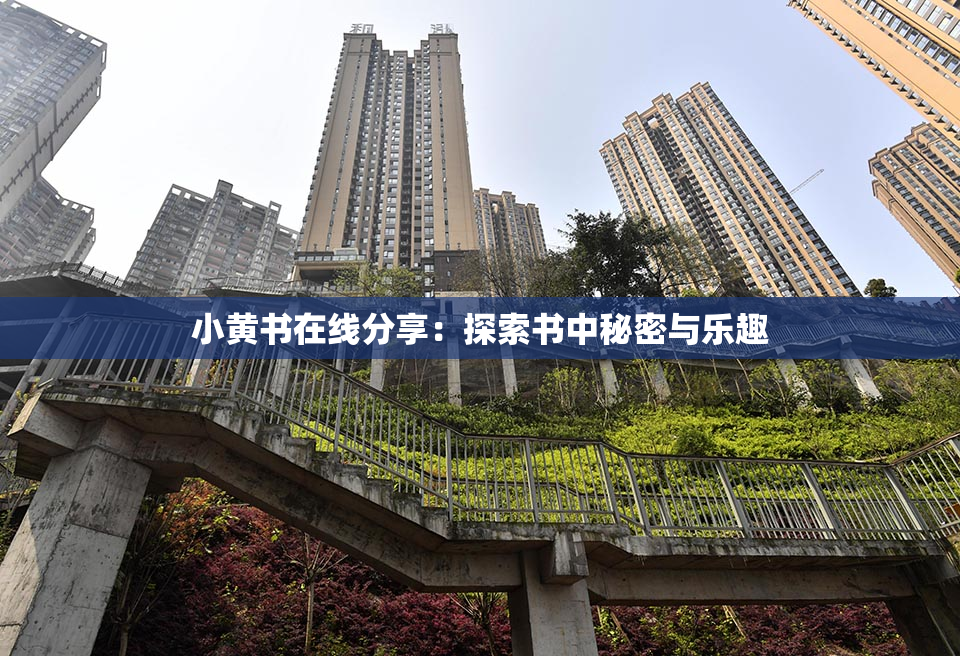 小黄书在线分享：探索书中秘密与乐趣