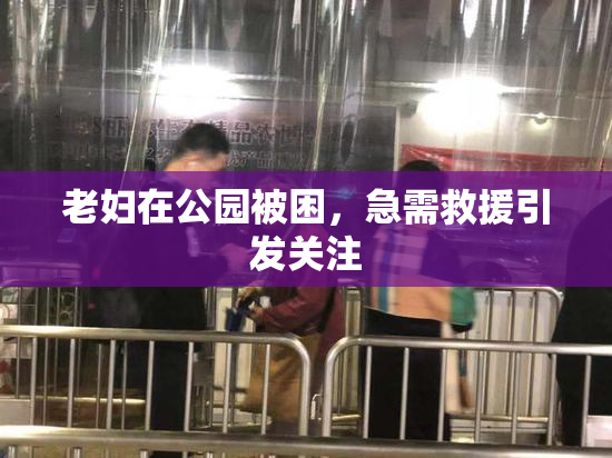 老妇在公园被困，急需救援引发关注