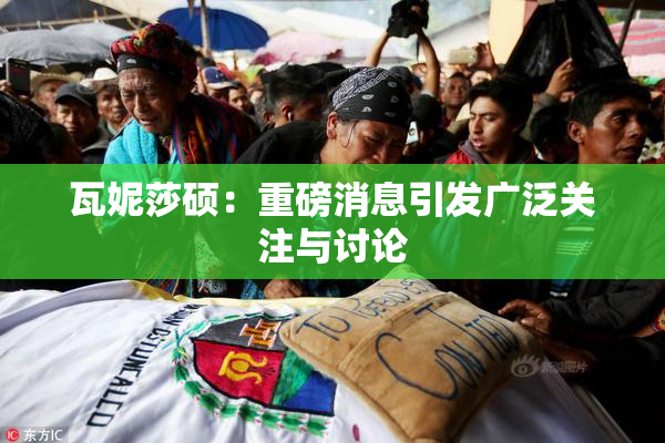 瓦妮莎硕：重磅消息引发广泛关注与讨论