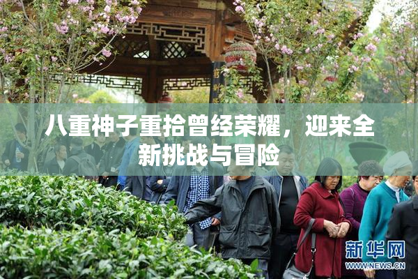 八重神子重拾曾经荣耀，迎来全新挑战与冒险