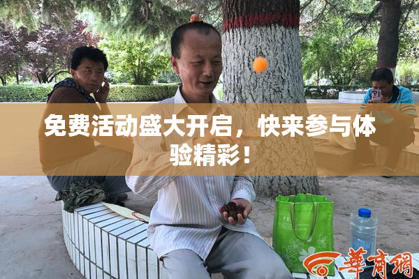 免费活动盛大开启，快来参与体验精彩！