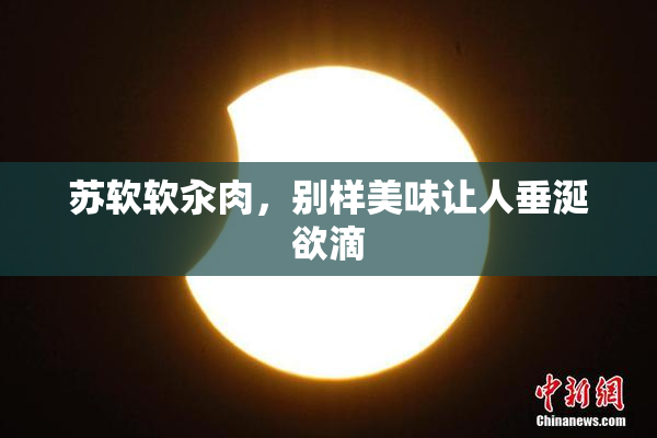 苏软软汆肉，别样美味让人垂涎欲滴