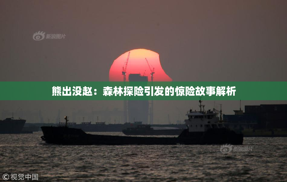 熊出没赵：森林探险引发的惊险故事解析