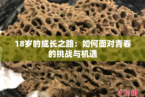 18岁的成长之路：如何面对青春的挑战与机遇