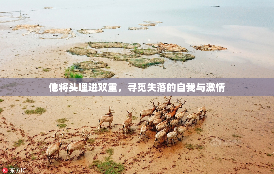 他将头埋进双重，寻觅失落的自我与激情