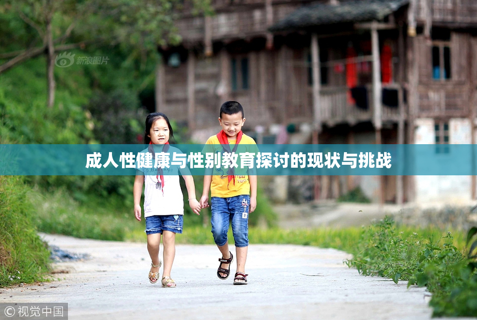 成人性健康与性别教育探讨的现状与挑战
