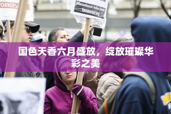 国色天香六月盛放，绽放璀璨华彩之美