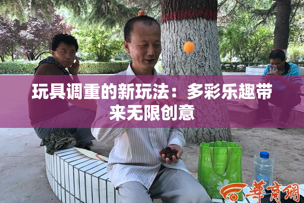 玩具调重的新玩法：多彩乐趣带来无限创意