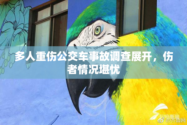 多人重伤公交车事故调查展开，伤者情况堪忧