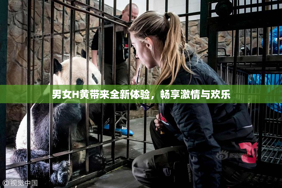 男女H黄带来全新体验，畅享激情与欢乐