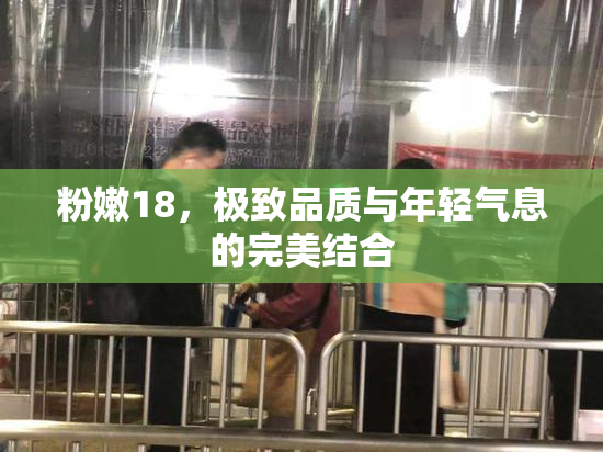粉嫩18，极致品质与年轻气息的完美结合