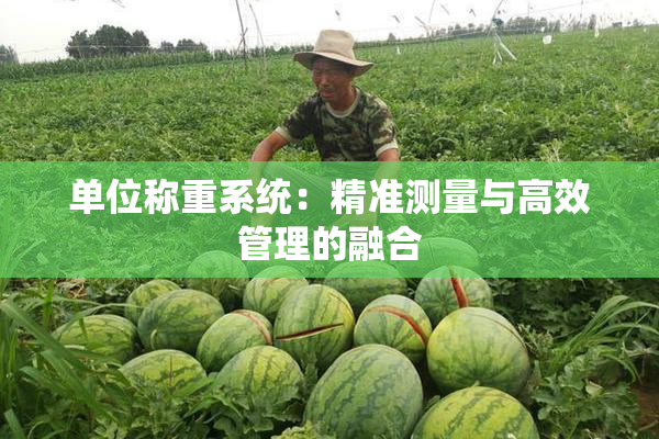 单位称重系统：精准测量与高效管理的融合