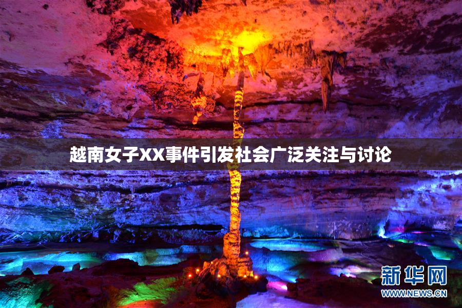 越南女子XX事件引发社会广泛关注与讨论