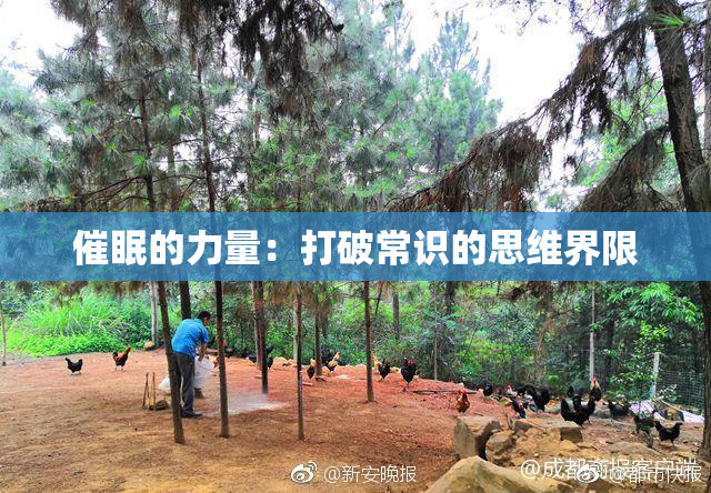 催眠的力量：打破常识的思维界限