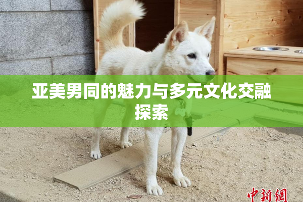 亚美男同的魅力与多元文化交融探索