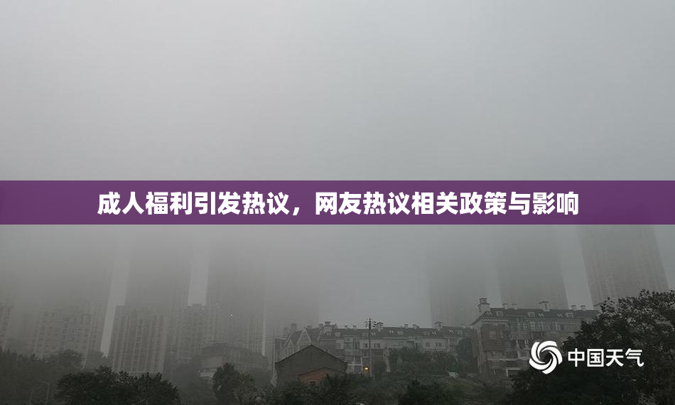 成人福利引发热议，网友热议相关政策与影响