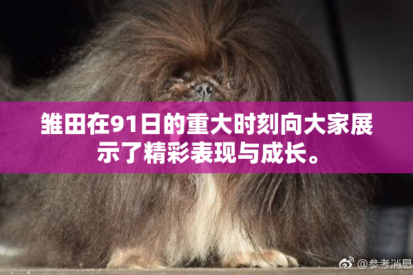 雏田在91日的重大时刻向大家展示了精彩表现与成长。