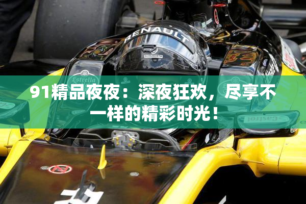 91精品夜夜：深夜狂欢，尽享不一样的精彩时光！