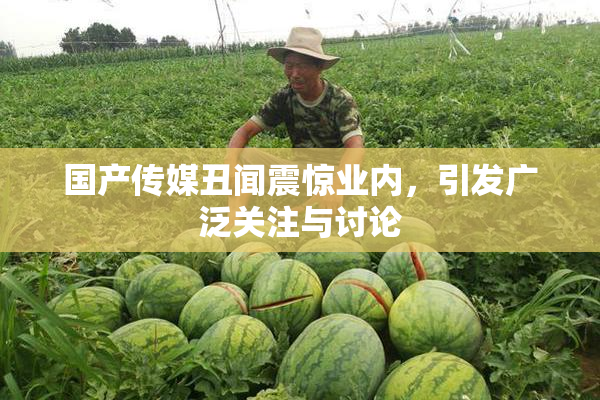 国产传媒丑闻震惊业内，引发广泛关注与讨论