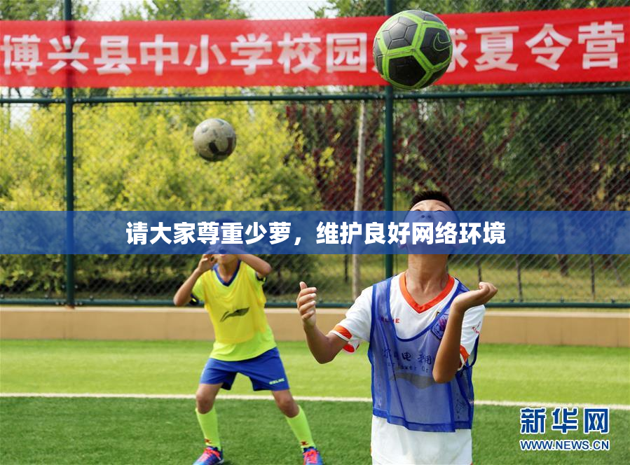 请大家尊重少萝，维护良好网络环境