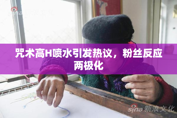 咒术高H喷水引发热议，粉丝反应两极化
