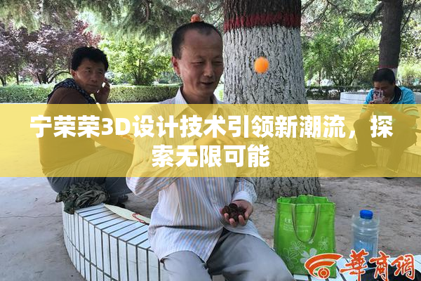 宁荣荣3D设计技术引领新潮流，探索无限可能