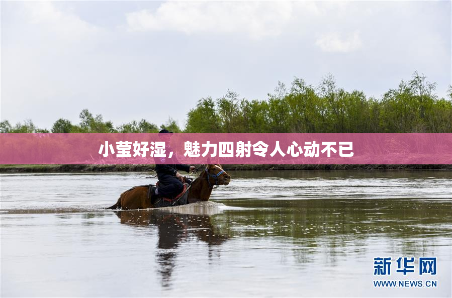 小莹好湿，魅力四射令人心动不已