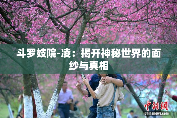 斗罗妓院-凌：揭开神秘世界的面纱与真相