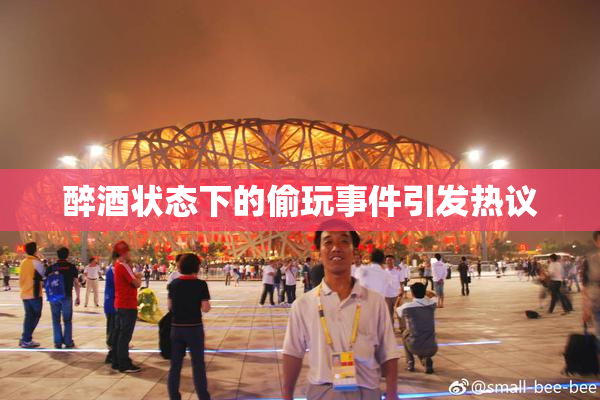 醉酒状态下的偷玩事件引发热议