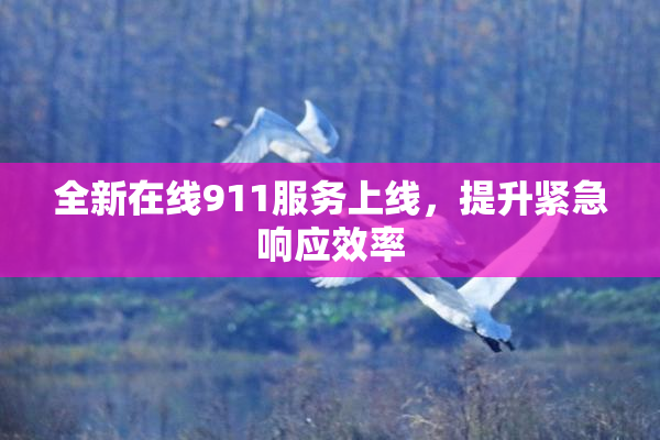 全新在线911服务上线，提升紧急响应效率