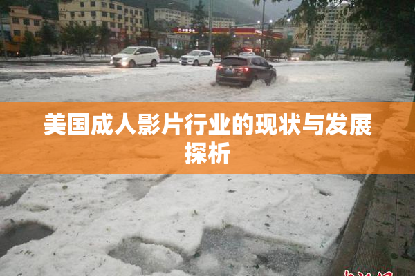 美国成人影片行业的现状与发展探析