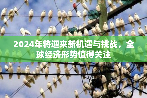 2024年将迎来新机遇与挑战，全球经济形势值得关注