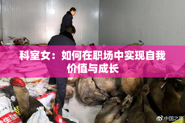 科室女：如何在职场中实现自我价值与成长