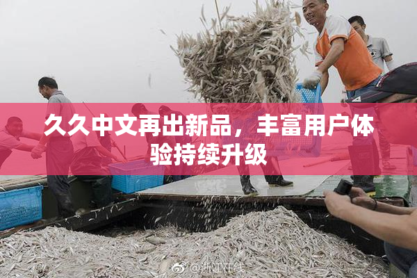 久久中文再出新品，丰富用户体验持续升级