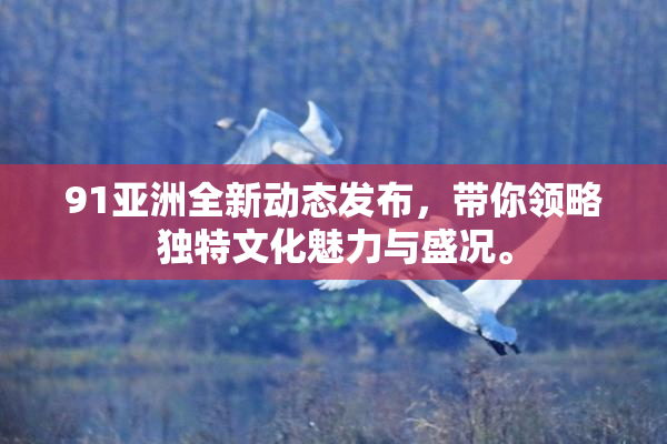 91亚洲全新动态发布，带你领略独特文化魅力与盛况。