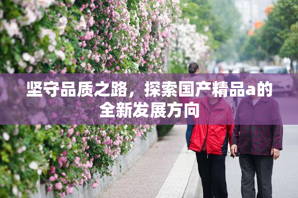 坚守品质之路，探索国产精品a的全新发展方向