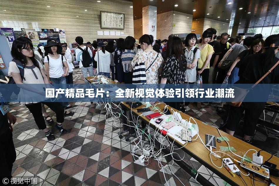 国产精品毛片：全新视觉体验引领行业潮流