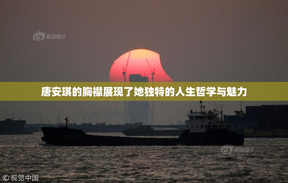 唐安琪的胸襟展现了她独特的人生哲学与魅力