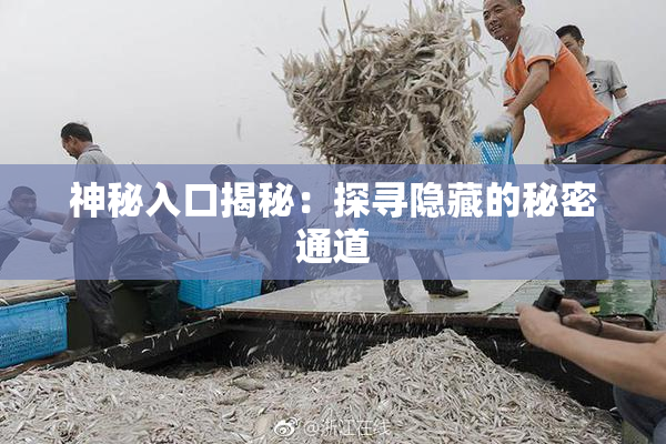 神秘入口揭秘：探寻隐藏的秘密通道