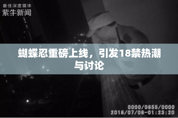 蝴蝶忍重磅上线，引发18禁热潮与讨论