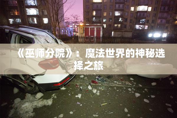 《巫师分院》：魔法世界的神秘选择之旅