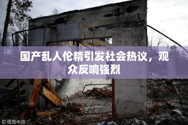 国产乱人伦精引发社会热议，观众反响强烈