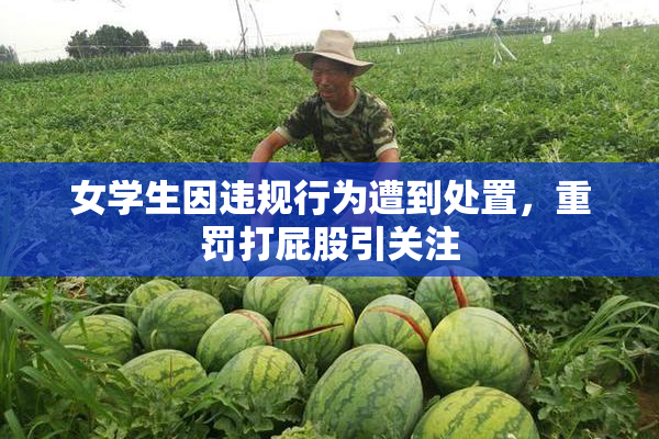 女学生因违规行为遭到处置，重罚打屁股引关注
